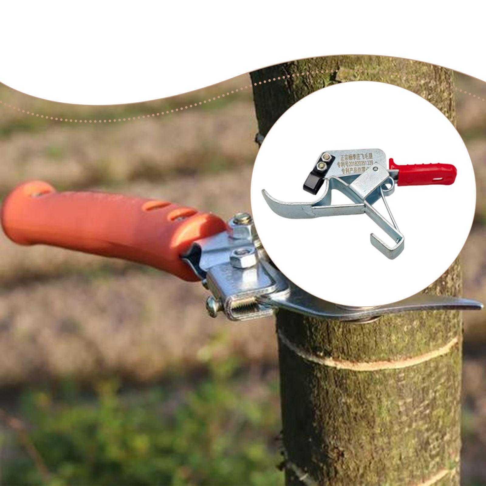Gardening Tools Essential - Omringingsgereedschap voor fruitbomen, essentieel, praktisch, efficiënt,